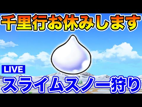 【ドラクエウォーク】今週は千里行やりません。スラ雪玉を集めます!!【DQW】