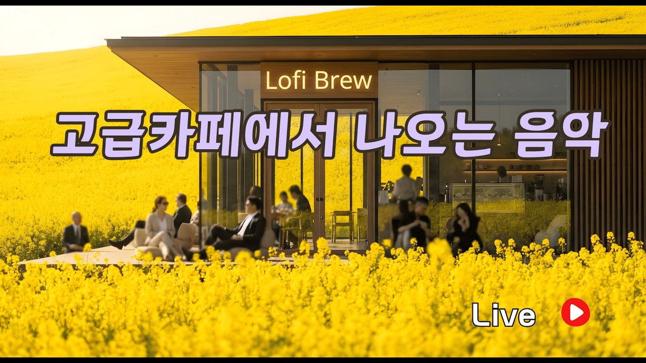 🌸유채꽃이 활짝핀 카페가 있는 풍경 | Soft Spring Healing Lofi