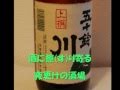 酒の川 小田純平カバー