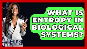 What Is Entropy In Biological Systems? - Science Through Time