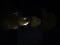 #asmr #ambiance #whitenoise  #river  #water #night