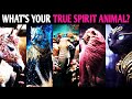 WHAT&#39;S YOUR TRUE SPIRIT ANIMAL? Aesthetic Personality Test - Pick One Magic Quiz