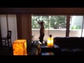 Sliding panels for large windows by Budget Blinds of Northe Sliding panels for large windows by Budget Blinds of Northe