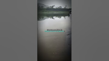 Câu cá. Thư giãn chút nào