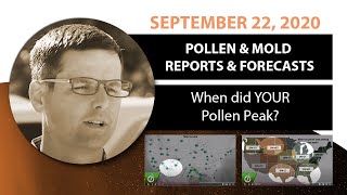 Seasonal Allergy Forecast: Pollen and Mold Counts, September 22, 2020