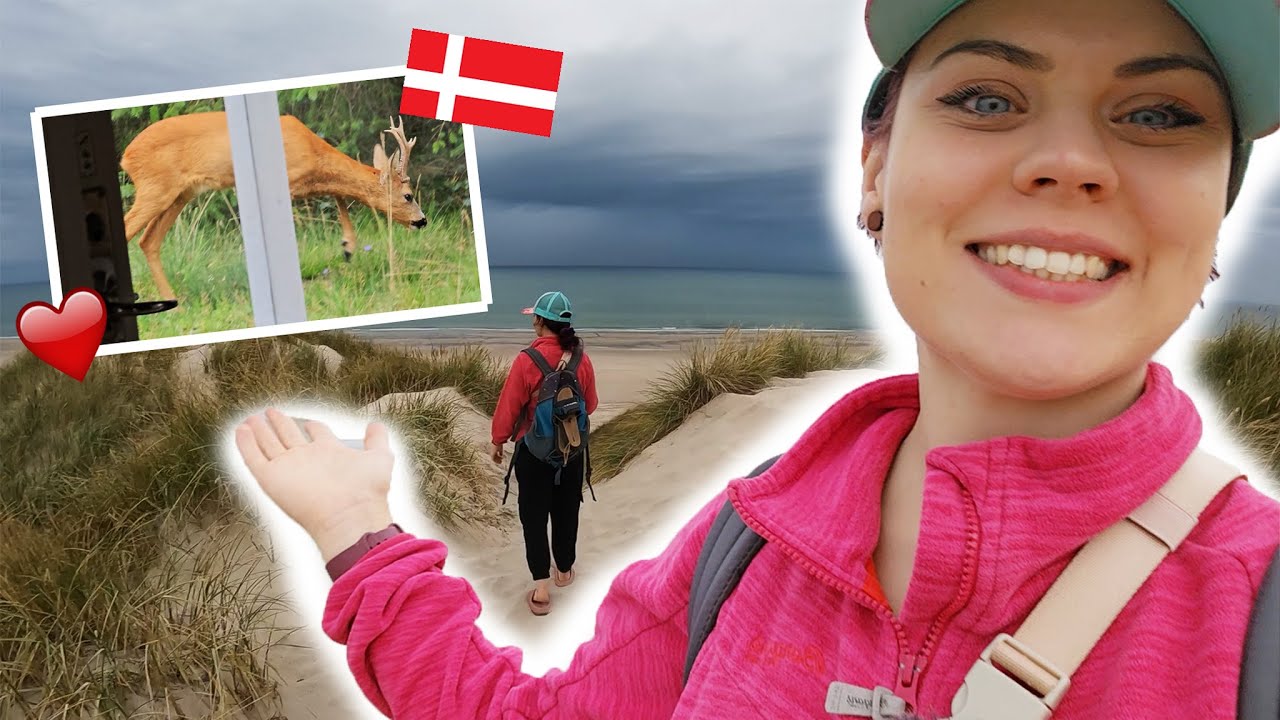 Mit dem Wohnmobil unterwegs Vlog 12 Dänemark   Jütland Teil 1 von 5