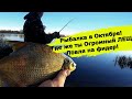Рыбалка в Октябре  Тут клюёт осенью Огромный лещ или сазан