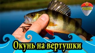 Окунь на вертушки.Сентябрь 2015. Окунь на вертушки.Сентябрь 2015.