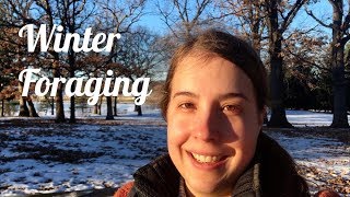 Winter Foraging