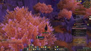 WoW Shadowlands pre patch retribution paladin grinding: getting ready for Mythic + part 18