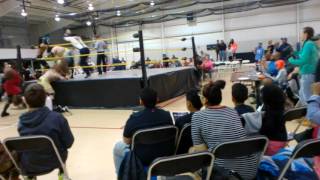 Maltese Tiger In Slaughterhouse Warfare