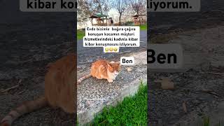 Kocamın Kibar Konuşmasını Izliyorum