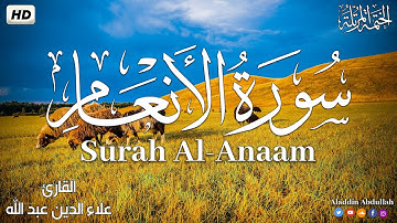 Surah Al-Anaam سورة الأنعام كاملة ||  بصوت هادئ وجميل 😴💚||القارئ علاء الدين عبد الله