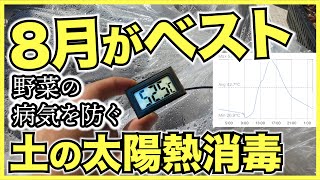 【農家と家庭菜園】土の太陽熱消毒の簡単なやり方と培地温度の測定結果【土壌消毒で病気や害虫、雑草を駆除と予防】