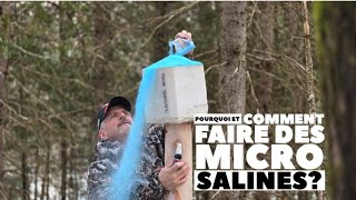 How to make an effective micro-salt bath and why I use this technique for deer