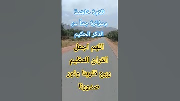 آيات بينات من الذكر الحكيم #قرآن #اكسبلور #quran #ترند #trending #trend #like #explore #قران_كريم