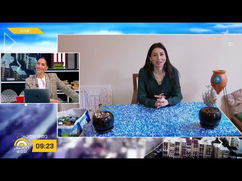 #ახალიდღე გადამუშავებული პლასტმასით დამზადებული ავეჯი