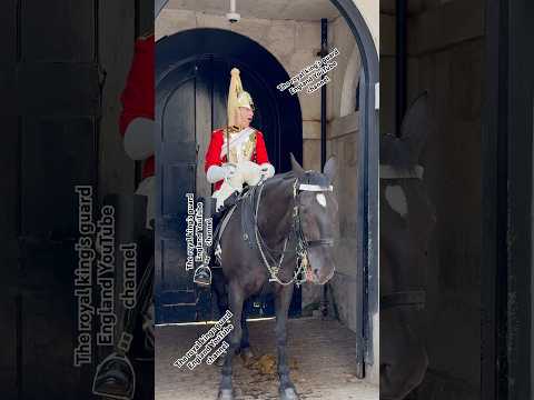 'Regal Horse's Sneezes