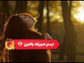 ياسر عبد الوهاب ولاناسيك حصريا 