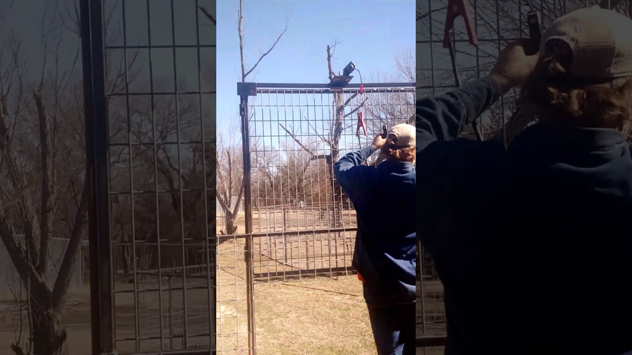 Electric hog trap door R&D. YouTube