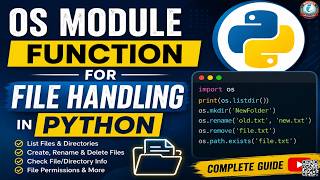 Python OS Module File Operations | exists(), rename(), remove() Explained Net Worth