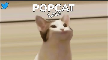 POPCAT 1k pop speed run (55.423) by RainbowKiwi