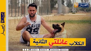 جزائريون: علي و تربية الكلاب.. قصة عشق لا تنتهي