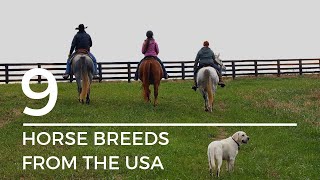 9 New Breeds From Discoverthehorse