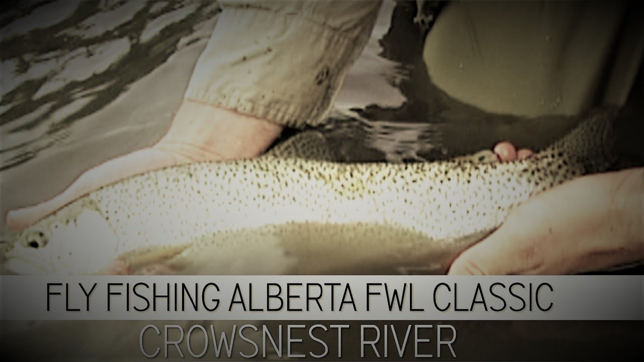 Fly Fishing Canada FWL Classic Crowsnest River June YouTube