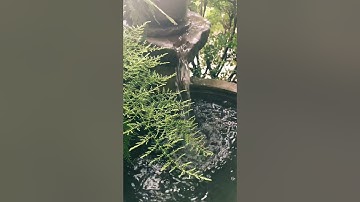 Tạo thác nước chảy từ cối xay cổ trong vườn nhà