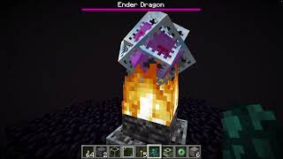 100 Wardens vs The Ender Dragon