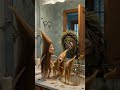 #moldilocksandthethreehairs#weird#comedy#fairytale#originalshort