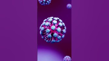 “BSL-1 to BSL-4 Explained in 60 Seconds (From Normal Lab to Ebola Lab)” #bslive #biosafety #bsl46ers