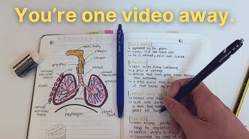 The 5 note-taking secrets of the top 1% students.