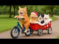 Mama Cat Trims Fur on the Farm and Makes Tiger Hat For Kittens At Home🐾🎩🐯