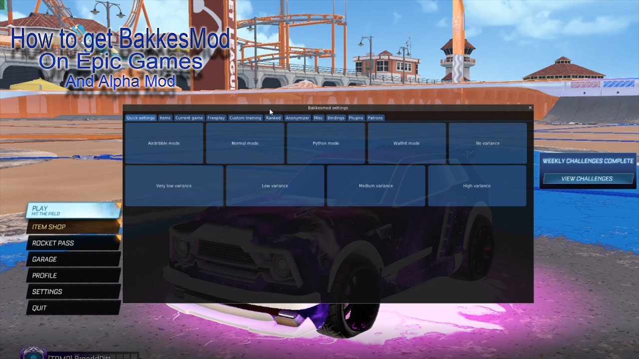 How to Get BakkesMod and AlphaMod (Epic games) YouTube