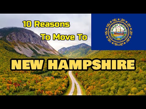 Wideo: 16 Różnic Między Normalnym A New Hampshire Przyjacielem