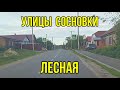 Улица Лесная в посёлке Сосновка Тамбовской области