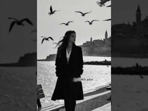 مسلمانان فلک بر من جفا کرد هوش مصنوعی AI Life Love Lovesong Live Music Song EDIT عاشقانه