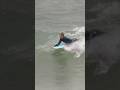 Bodyboard Waves for Everyone — From Beginner to Pro!