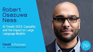 AI Trends 2023: Causality and the Impact on Large Language Models with Robert Osazuwa Ness - 616