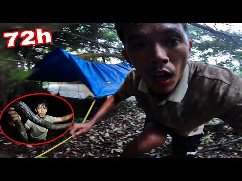 Sang Đã Suýt C.H.Ế.T | Khi Chạm Mặt Loại Cực Đ.Ô.C Này Khi Đang Sinh Tồn 72H Giữa Rừng Mưa 