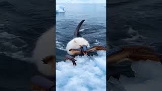 What If This Frozen Sea Creature Was Real? 😳❄️