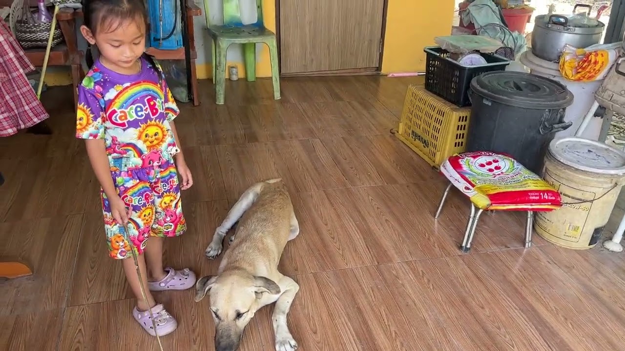 เดินเล่นบ้านย่า 