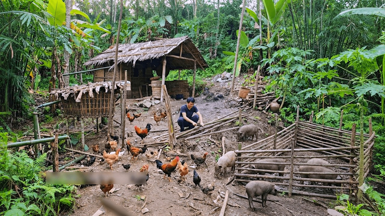 Sinh Tồn Việt Nam - Chàng Trai Xây Dựng Trang Trại Từ Con Số 0 Trong Rừng