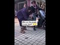 Intelligent Team😂