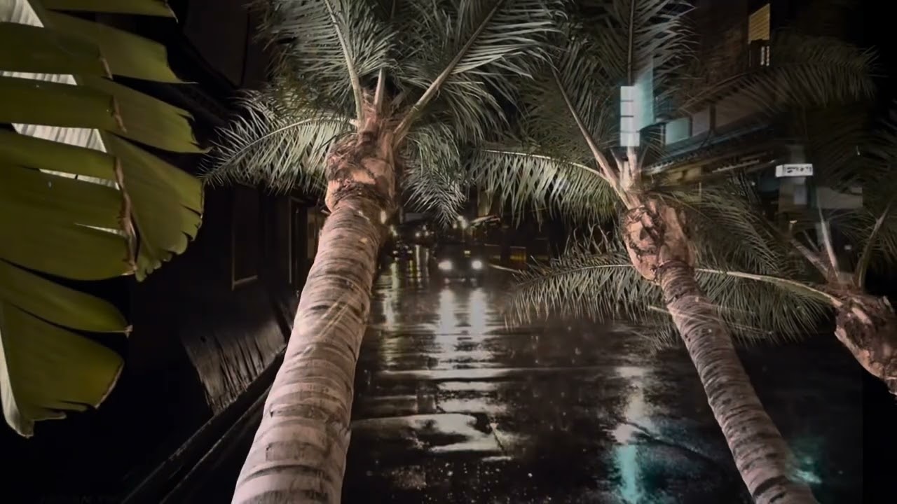 Ga Chiều Phố Nhỏ || St: Nguyen Vũ || Cover: Hạnh Duyên(Tammy Thuy) 