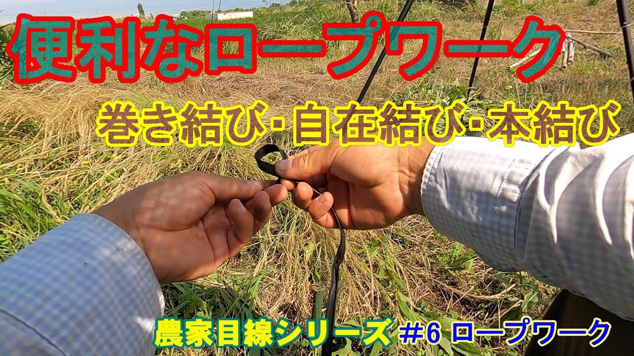 農家目線シリーズ 6 農家に便利なロープワーク その1 巻き結び 自在結び 本結び 作業時間の削減と資材の節約 立ち木の誘引作業に便利です 五感で感じる観光農園 くだものびより 南アルプス さとう農園 農家目線シリーズ 6 農家に便利なロープワーク その1 巻き結び 自在結び 本結び 作業時間の削減と資材の節約 立ち木の誘引作業に便利です 五感で感じる観光農園 くだものびより 南アルプス さとう農園