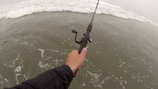 SLAYING Surf Perch on the Coast ft. PK Yi