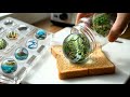 Which Sphere Would You Eat? Honey vs. Scorpions vs. Chrome!